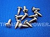 Inch Size SCREW for Machine Head/Ni-S(12本入り)
