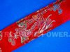 JH JCASG WideFace Dragon RED 在庫切れ